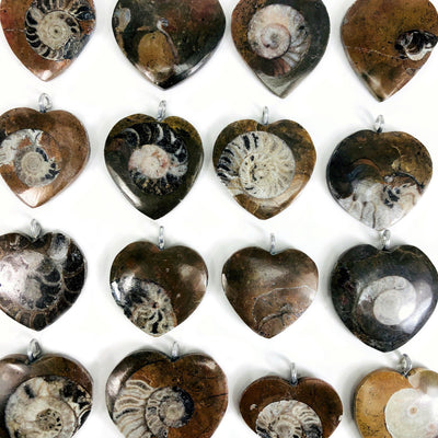ammonite heart pendants in rows