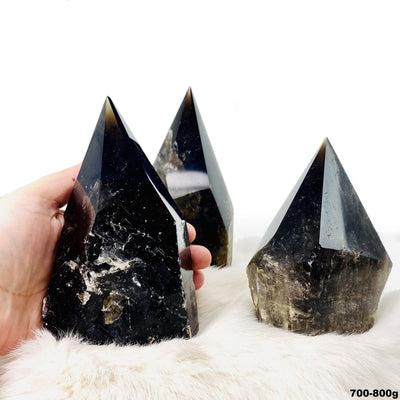 four 700g - 800g smokey quartz semi polished points on display for possible variations with one in hand for size reference