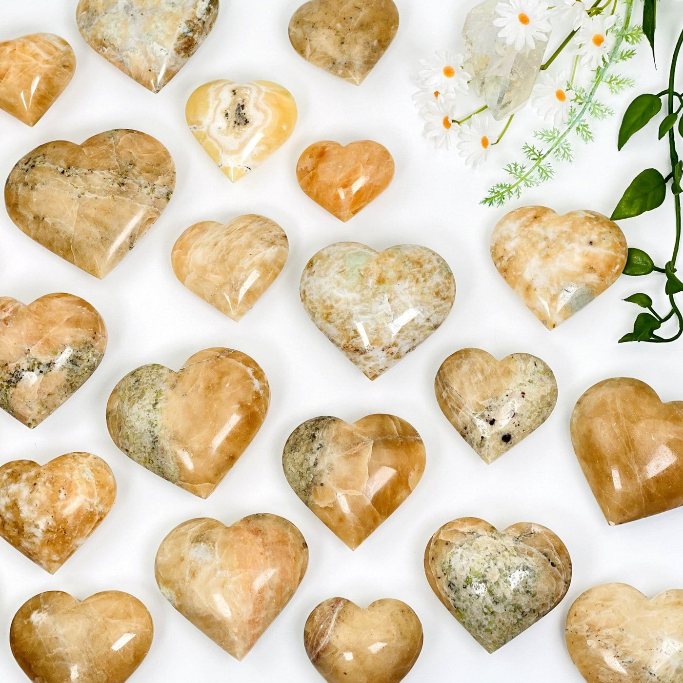 multiple orchid calcite hearts on white background 