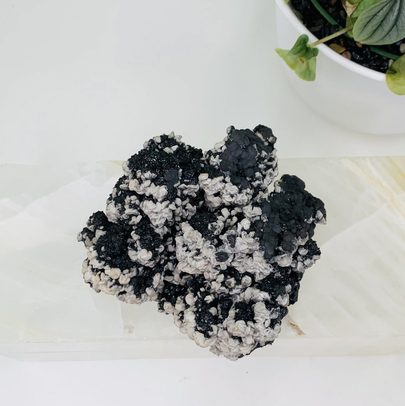 Top side view into goethite cluster, The picture is mainly focusing on the goethite bubbly formations within this cluster. The Goethite Cluster is also being displayed on a white marbled surface and background. 