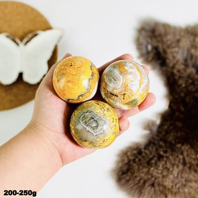 Bumble Bee Jasper Spheres - 3 in a hand