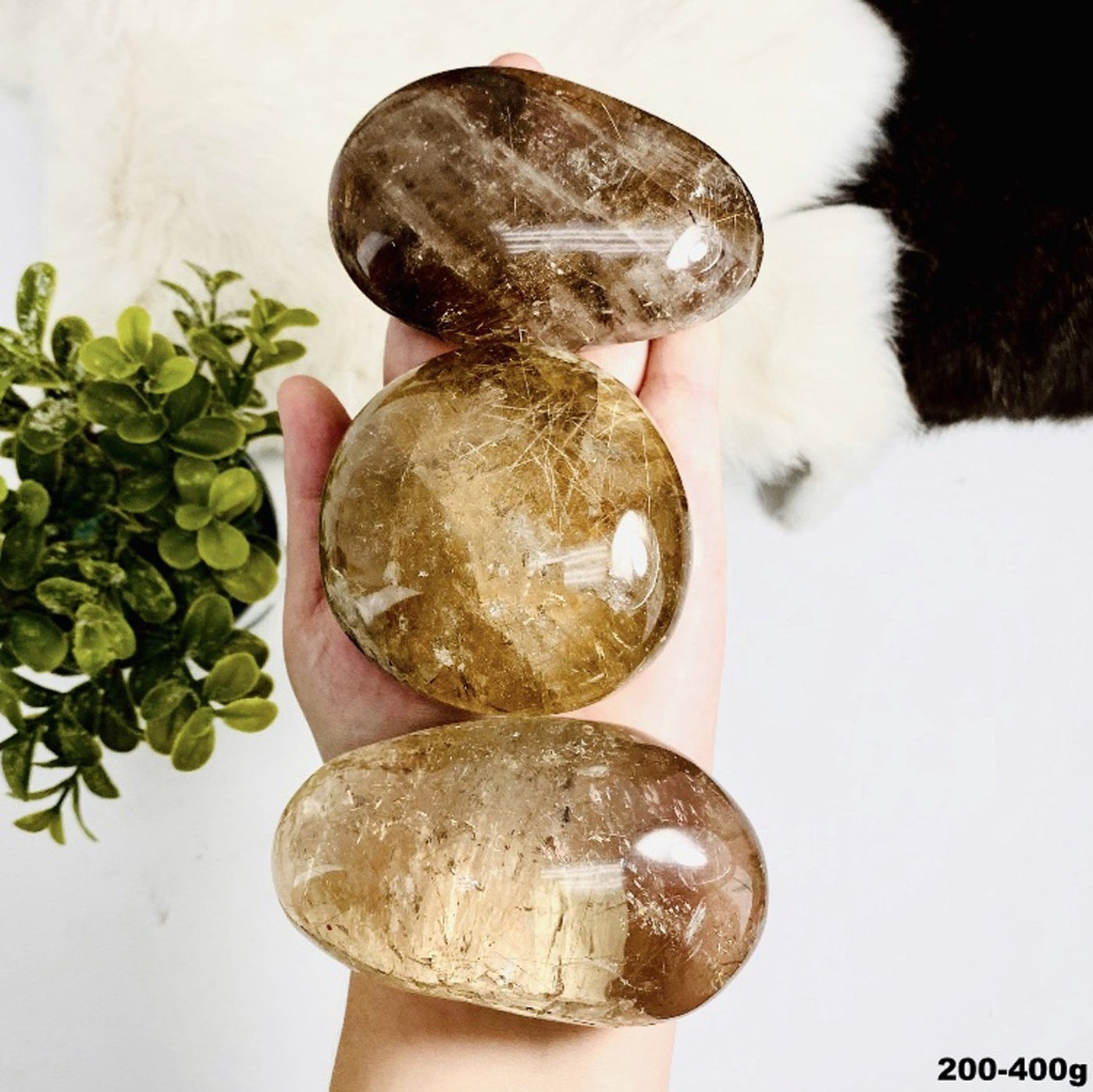 3 pieces of Rutilated Quartz Polished Lens' in a hand for the size 200-400g