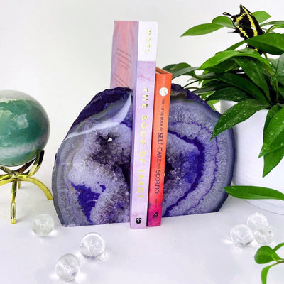 Agate Book End displayed with books in an alter that consists of plants and crystals.