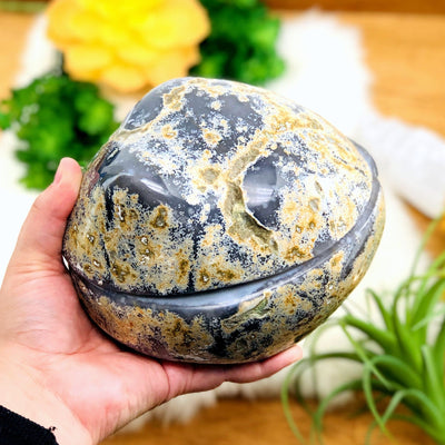 A Large agate geode box closed in a hand displaying the external surface. Plants in the background.