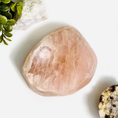 Rose Quartz Polished Bowl on white background with plants and other crystals