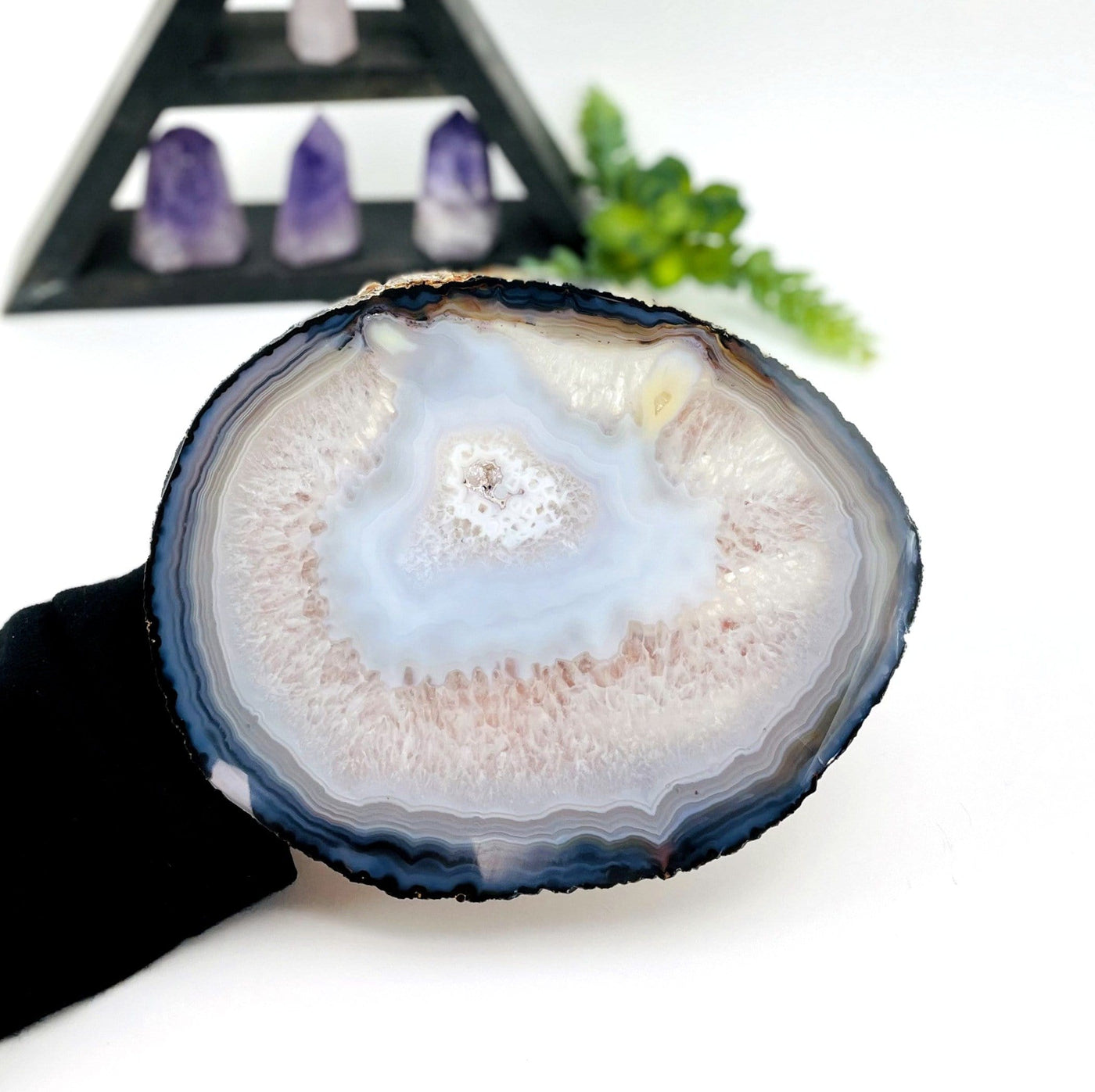 Agate slice in a woman's hand.