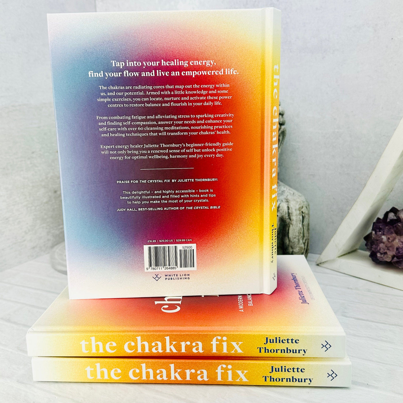 The Chakra Fix - back cover of book