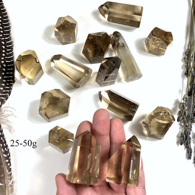 Polished Natural Citrine Points  (EX-101)