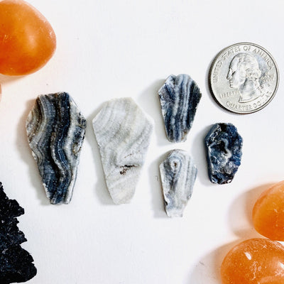 small and large coffins next to a quarter for size reference 