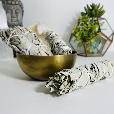 Three White Sage Sticks displayed in a brass bowl and one more stick is pictured on a flat white surface.