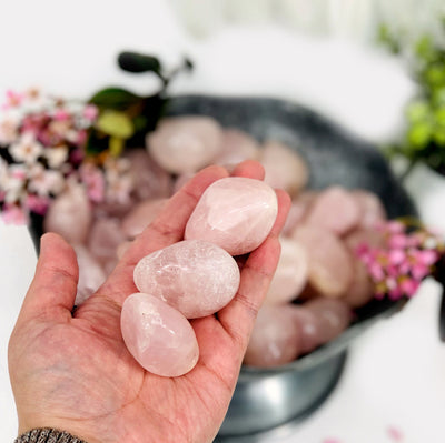 Rose Quartz Large Tumbled Stones in a hand for size