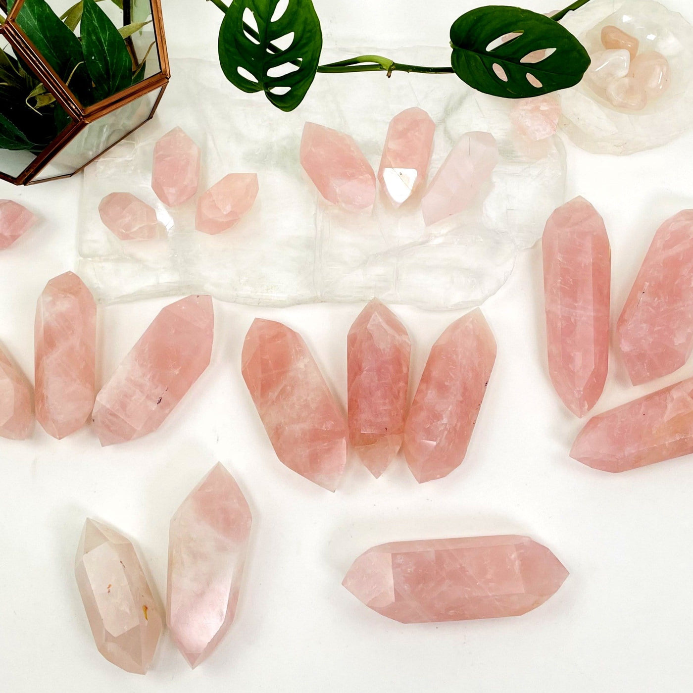 Rose Quartz Double Terminated Points arranged in trios with other crystals and plants in the background