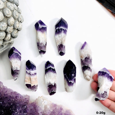 Eight amethyst chevron points are being displayed on a white back ground.