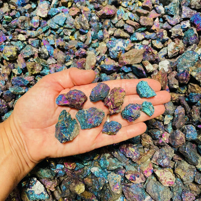 Nine Peacock Ore in hand for size comparison 