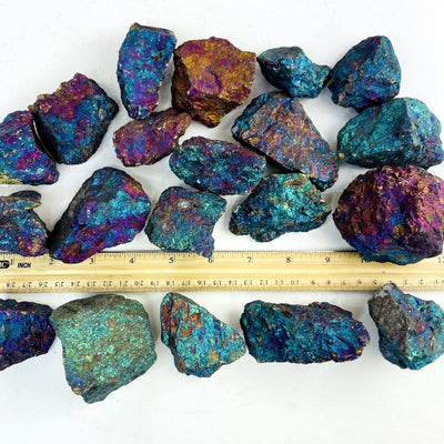 Peacock Ore rough stones next to ruler for size comparison