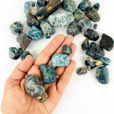 Natural Blue Apatite on a table with a few stones of various sizes in a hand for sizing