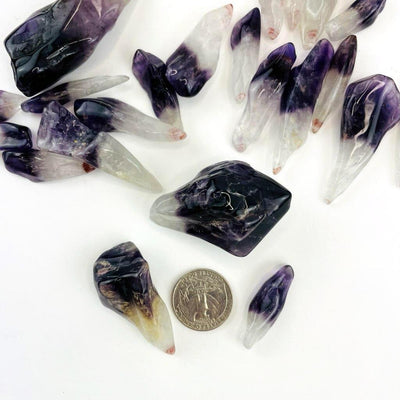 Polished Amethyst Points next to a quarter showing size variation