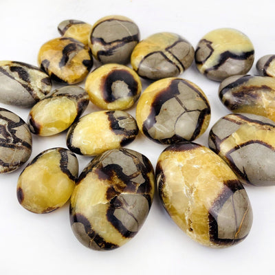 Septarian Tumbled Palm Stone piled on a table in various sizes