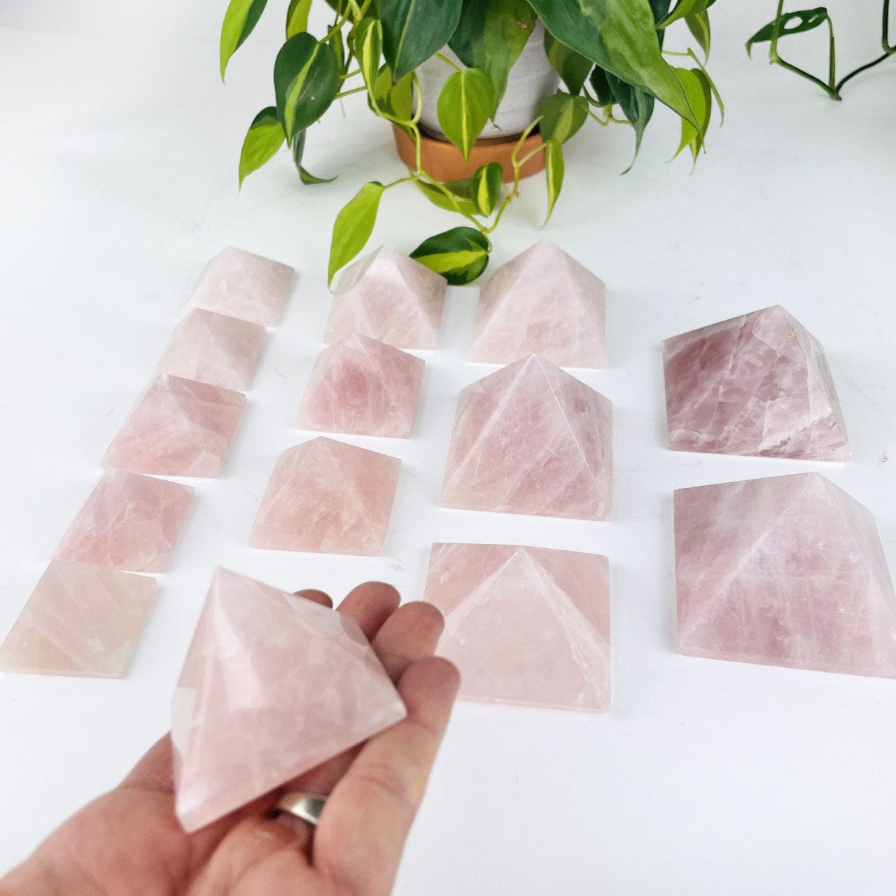 Rose Quartz Pyramids in assorted sizes, with one in a hand for size reference