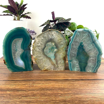 Three front facing agate lamps on a dark colored surface with plants in the background.