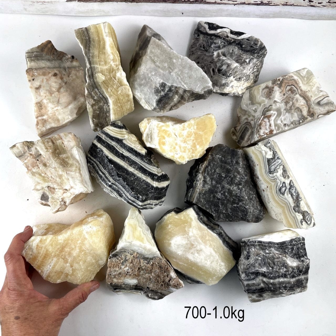 Mexican Onyx Rough Stone Chunks in the size .700-1.0kg size with a hand for size reference