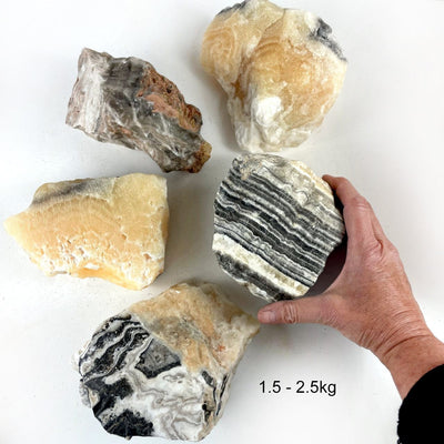 Mexican Onyx Rough Stone Chunks in the size 1.5-2.5 kilos, with one in a hand for size reference
