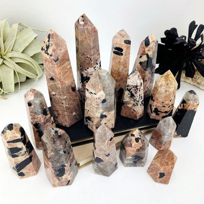 Black Tourmaline with Feldspar Polished Points displayed to show length and weight variations