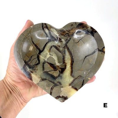 Septarian Heart Bowl - Polished Stone Dish #E in hand for size reference and formation differences