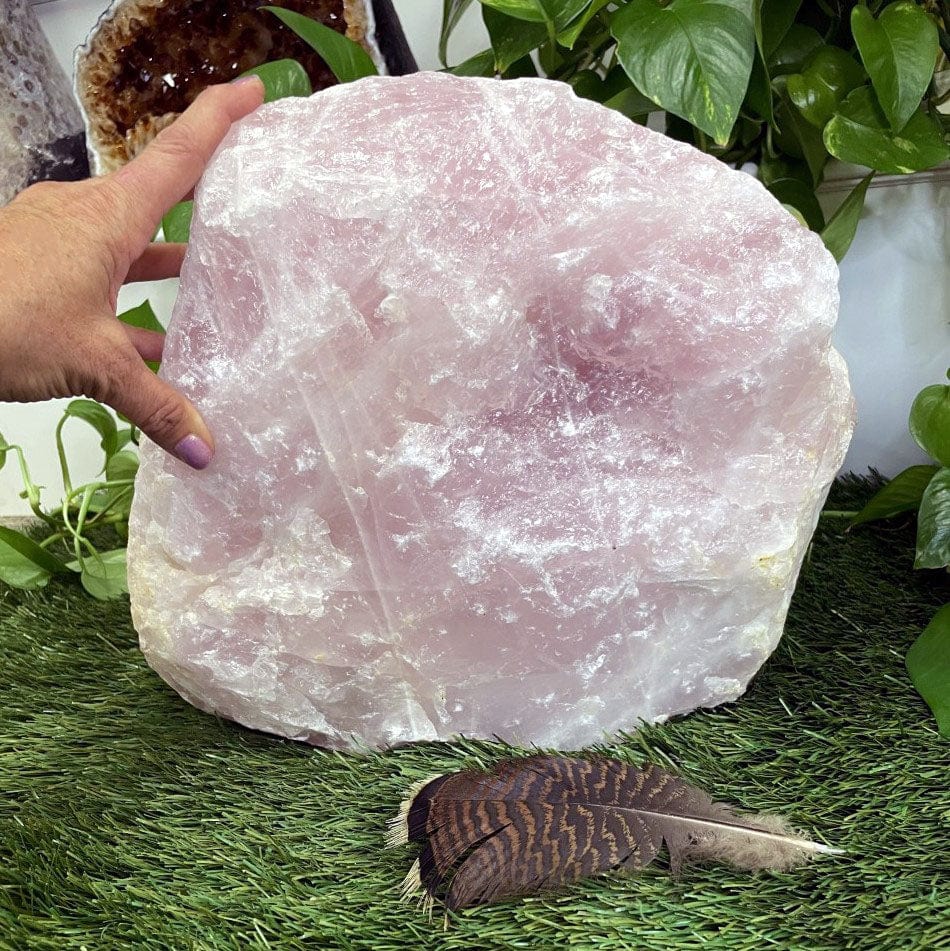 Giant Rose Quartz Piece with a hand for size