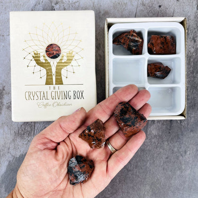 Crystal Giving Box - Set of 6 coffee obsidian with 3 in a hand to show size