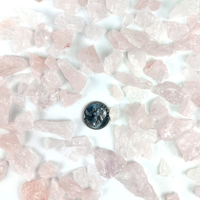 Rose Quartz Stones spread out on a table with a quarter for size