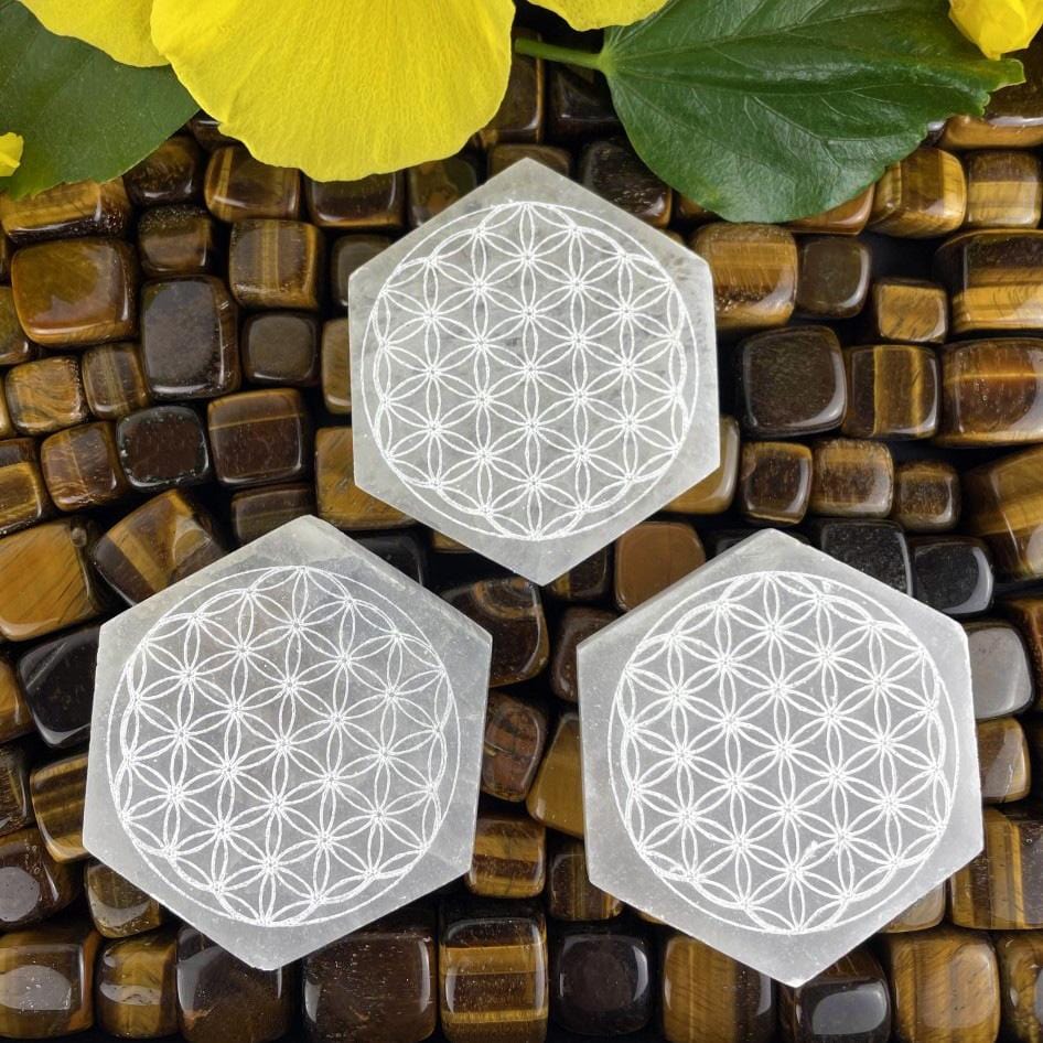 three selenite hexagons engraved with flower of life on display for possible variations