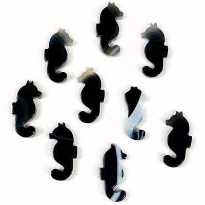 Top view Picture of Black agate Seahorses.