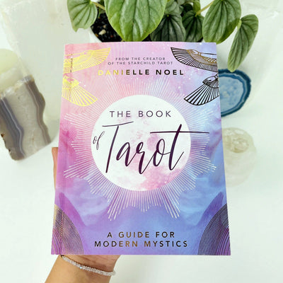 Hand holding The Book of Tarot by Danielle Noel