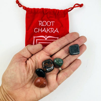 The Root Chakra Set of stones in a hand over the plush pouch behind