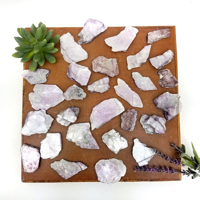 lepidolite slices scattered on brown platter with plants on white background