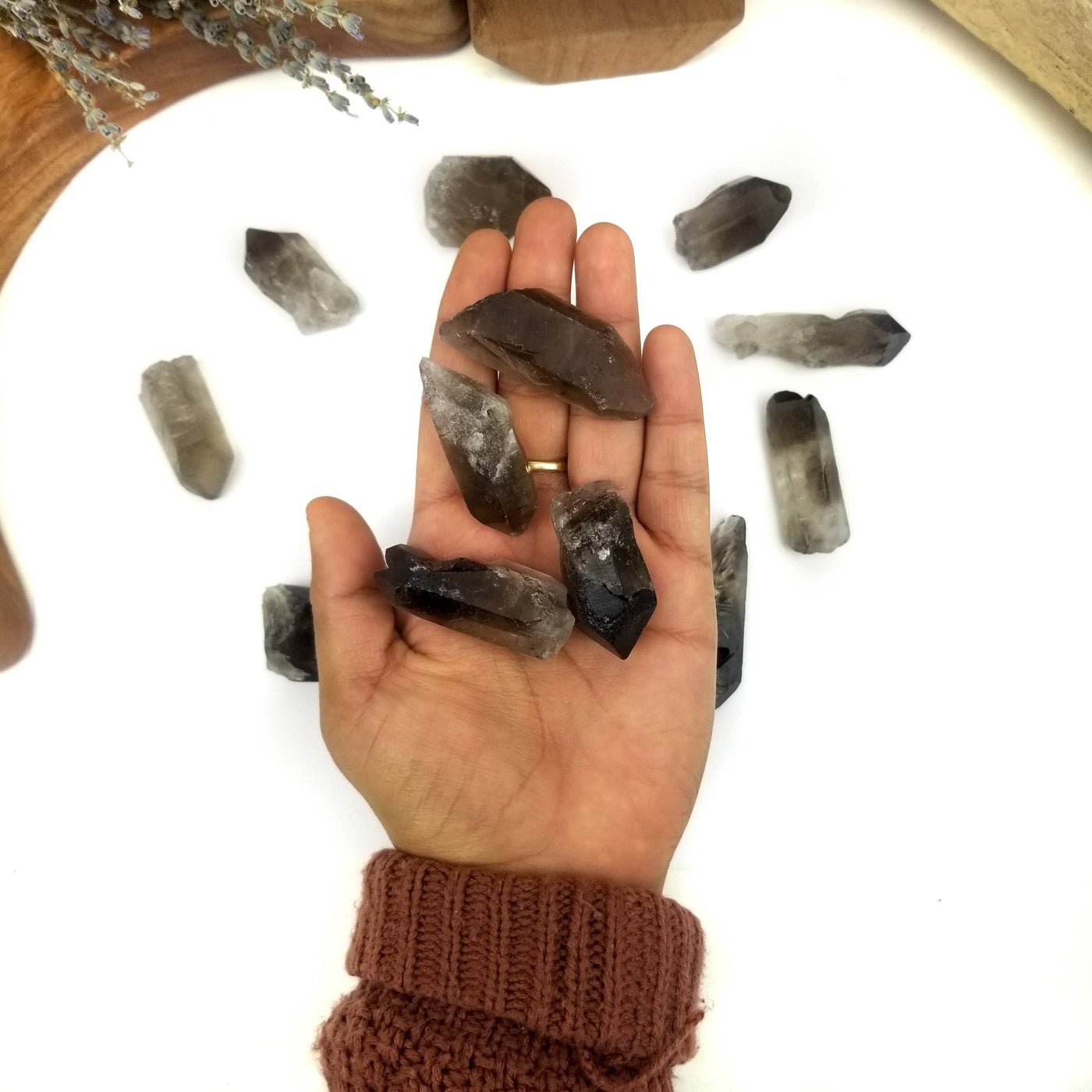 four smokey quartz raw points in hand with others on white backdrop in the background