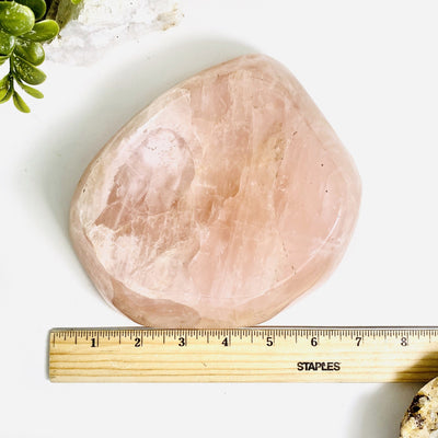 Rose Quartz Polished Bowl next to ruler for size reference on white background