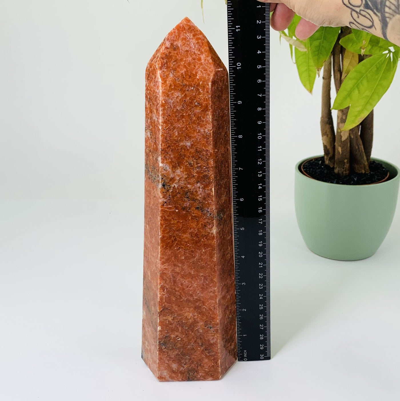Front side view to orchid calcite tower point, a black ruler was  placed next to it for size reference, The item is also being displayed on a white back ground. 