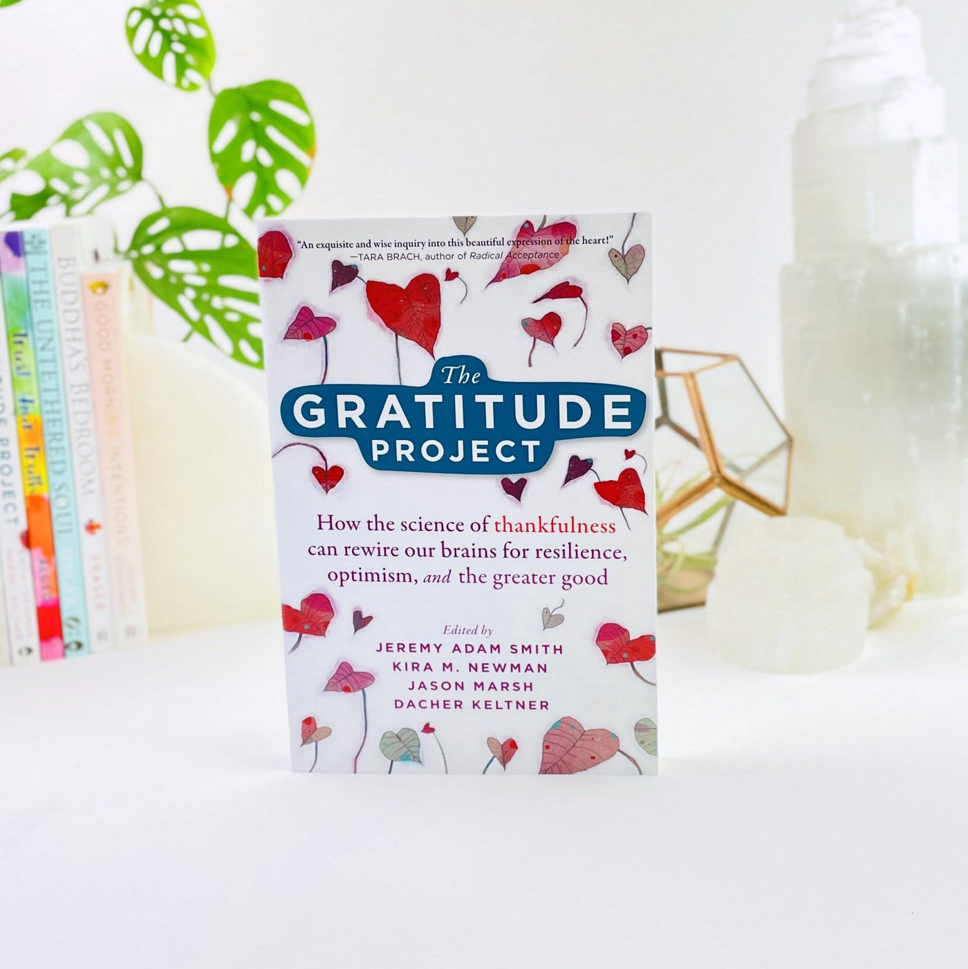 The Gratitude Project Book by Jeremy Adam Smith in white 