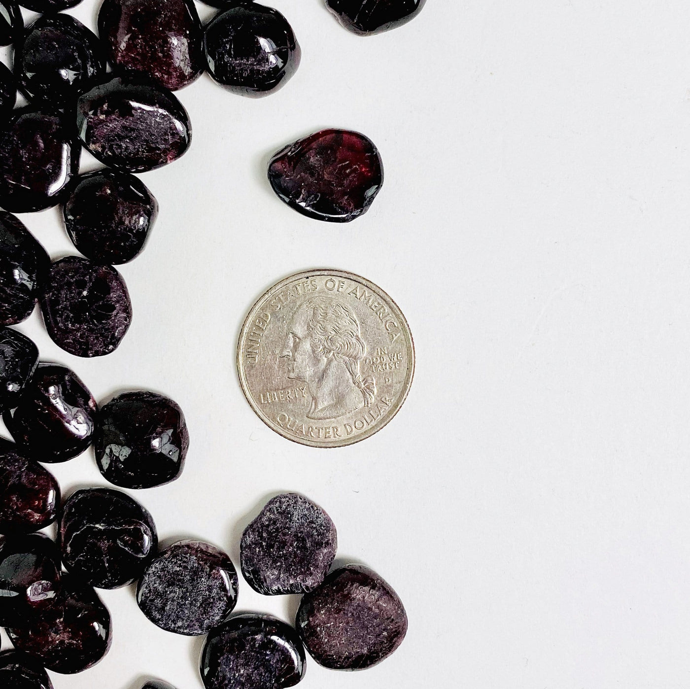 garnet chips next to a quarter for size reference 