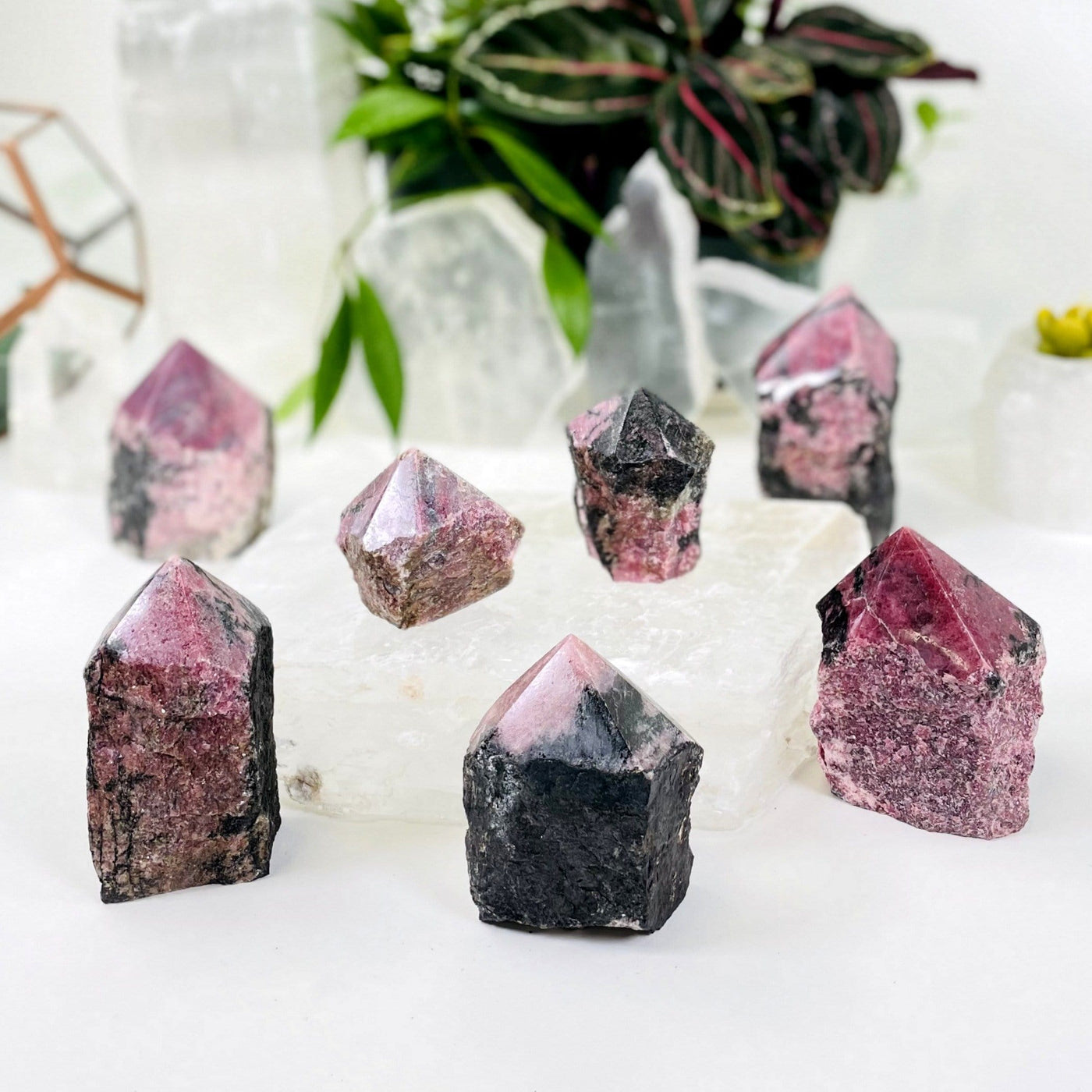 5 Rhodonite Points displayed on a selenite slab with other crystals and decorations blurred in the background