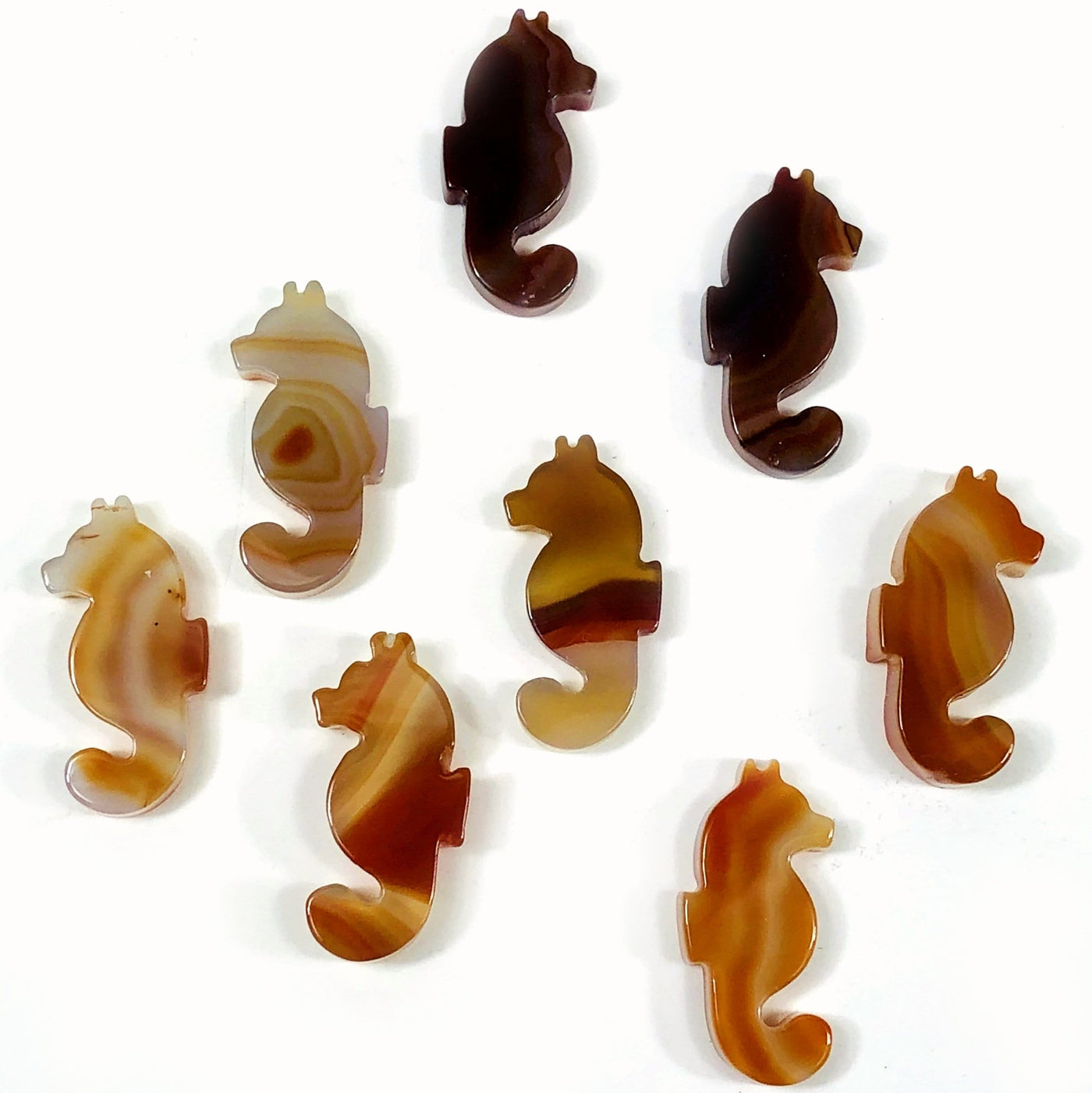 Top view Picture of natural agate Seahorses.
