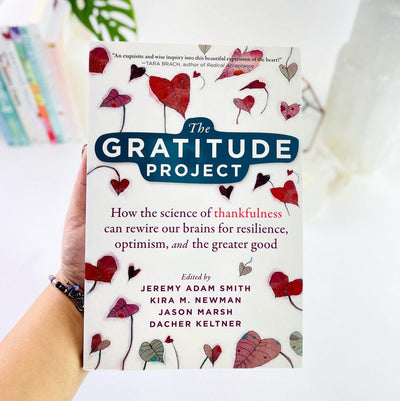 A hand holding The Gratitude Project Book by Jeremy Adam Smith