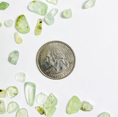 green prehnite chips on a white background with a quarter for sizing.  They are a few mm each