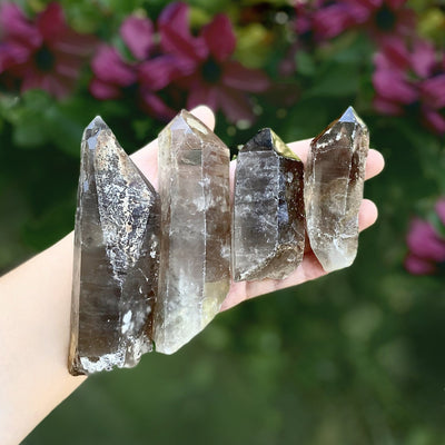 four smokey quartz raw point rods in hand for size reference and possible variations