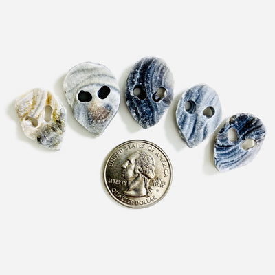 small alien heads next to a quarter for size reference 