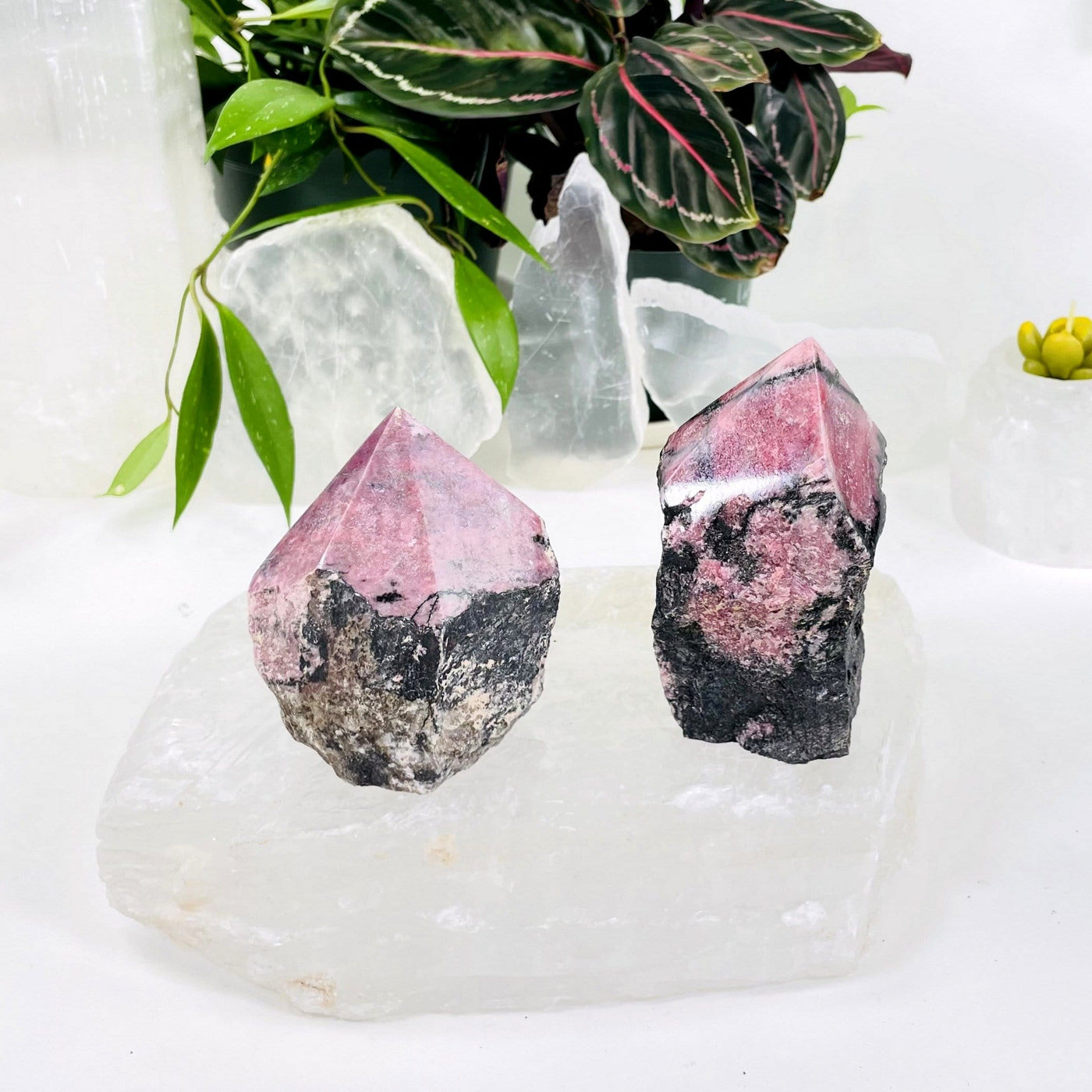 2 Rhodonite Points on a crystal slab with other crystals and plants in the background
