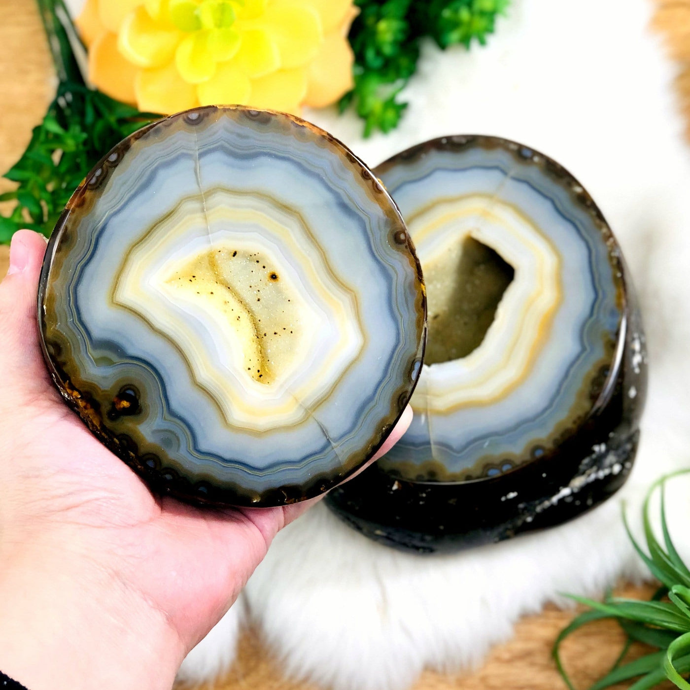 Agate geode box open displaying the pattern and druzy, one half of the geode is in a hand. Plants in the background.