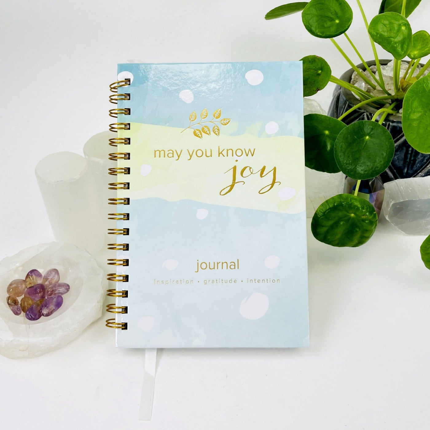Journal - May You Know Joy with decorations in the background
